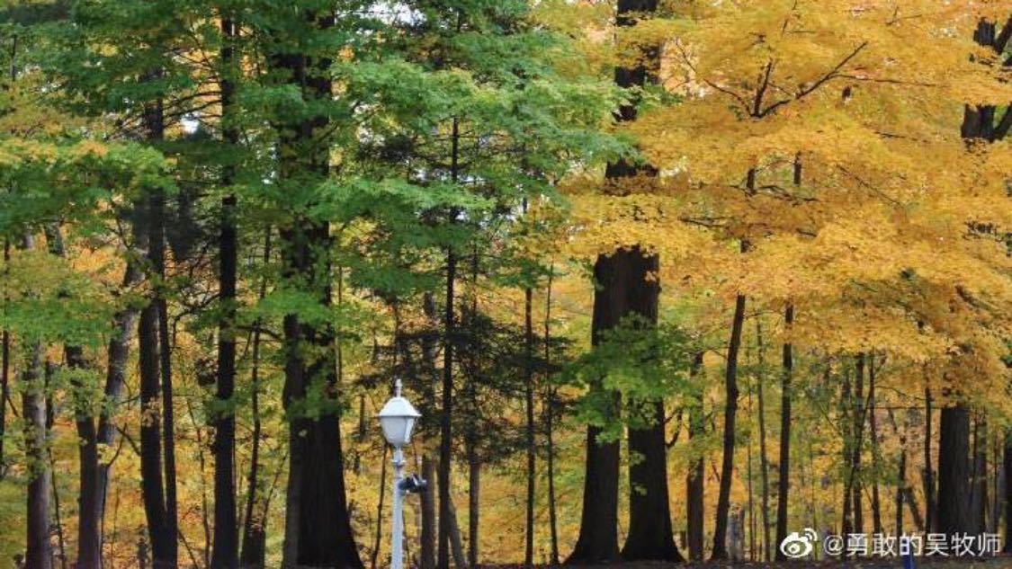 抖音粉丝一元一万活粉：网络热门事件背后的真实内幕_南荷代涨ks